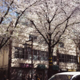 RICOH GRIIIx / GR3x「ブラックミストプロテクター」で中野通りの桜・夜桜を撮影してみた