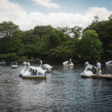 GRIIIx片手に吉祥寺さんぽ：緑とオムライスに癒される休日