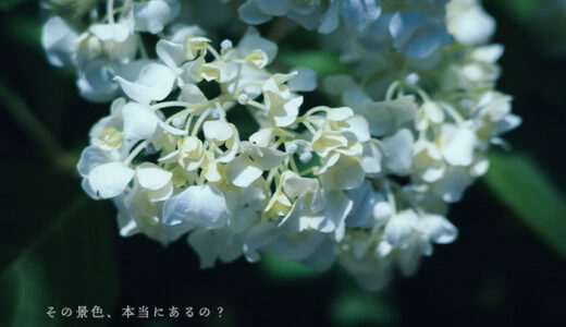 その景色、本当にあるの？