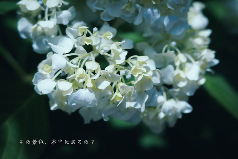 その景色、本当にあるの？