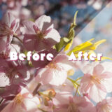 【Before / After】RAW現像ってどこまで変わる？｜GRIIIxの写真で比較