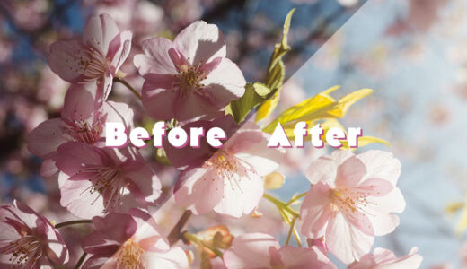 【Before / After】RAW現像ってどこまで変わる？｜GRIIIxの写真で比較
