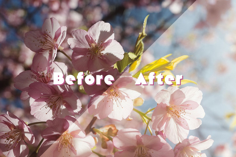 【Before / After】RAW現像ってどこまで変わる？｜GRIIIxの写真で比較